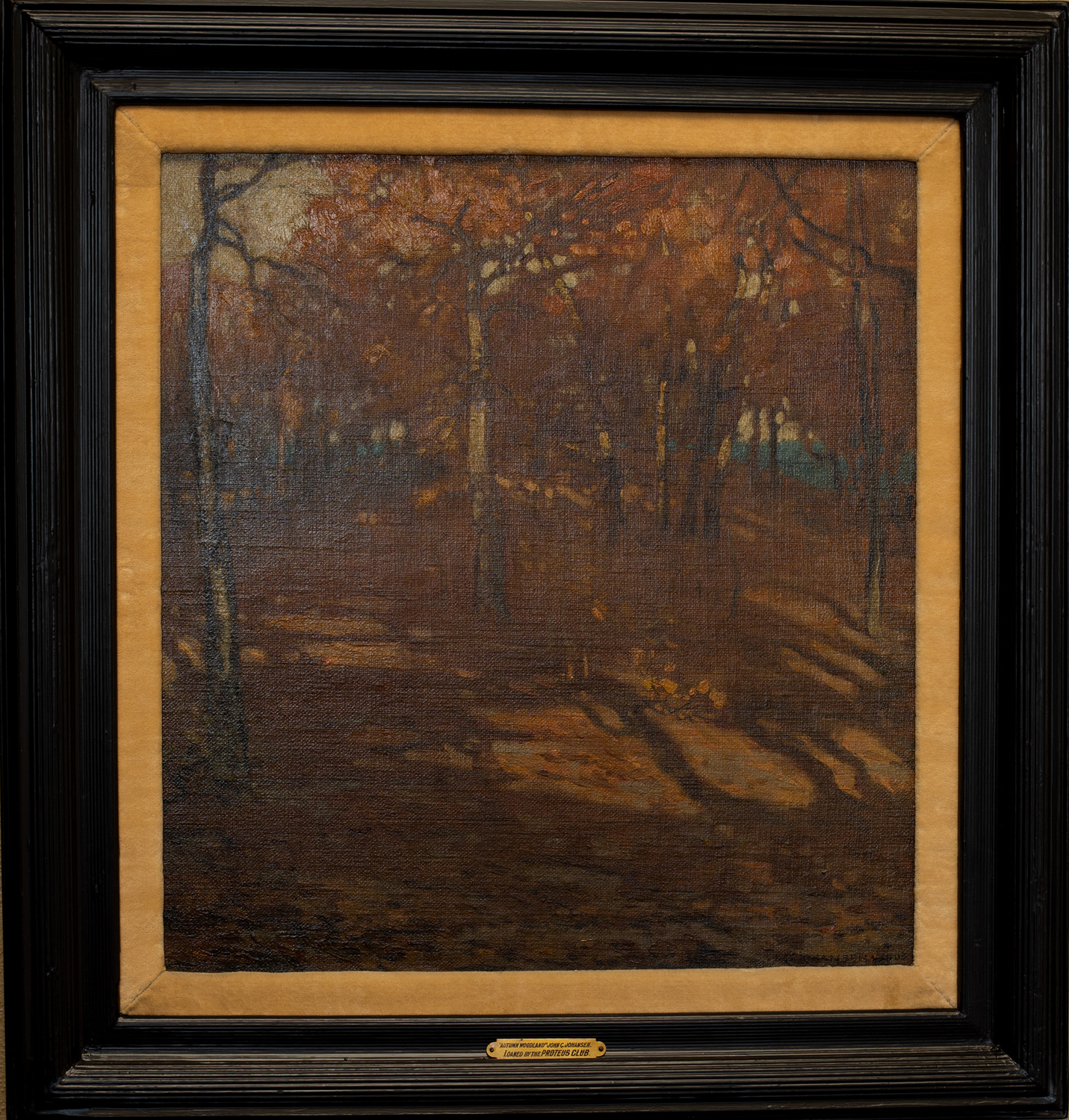 Autumn Woodland