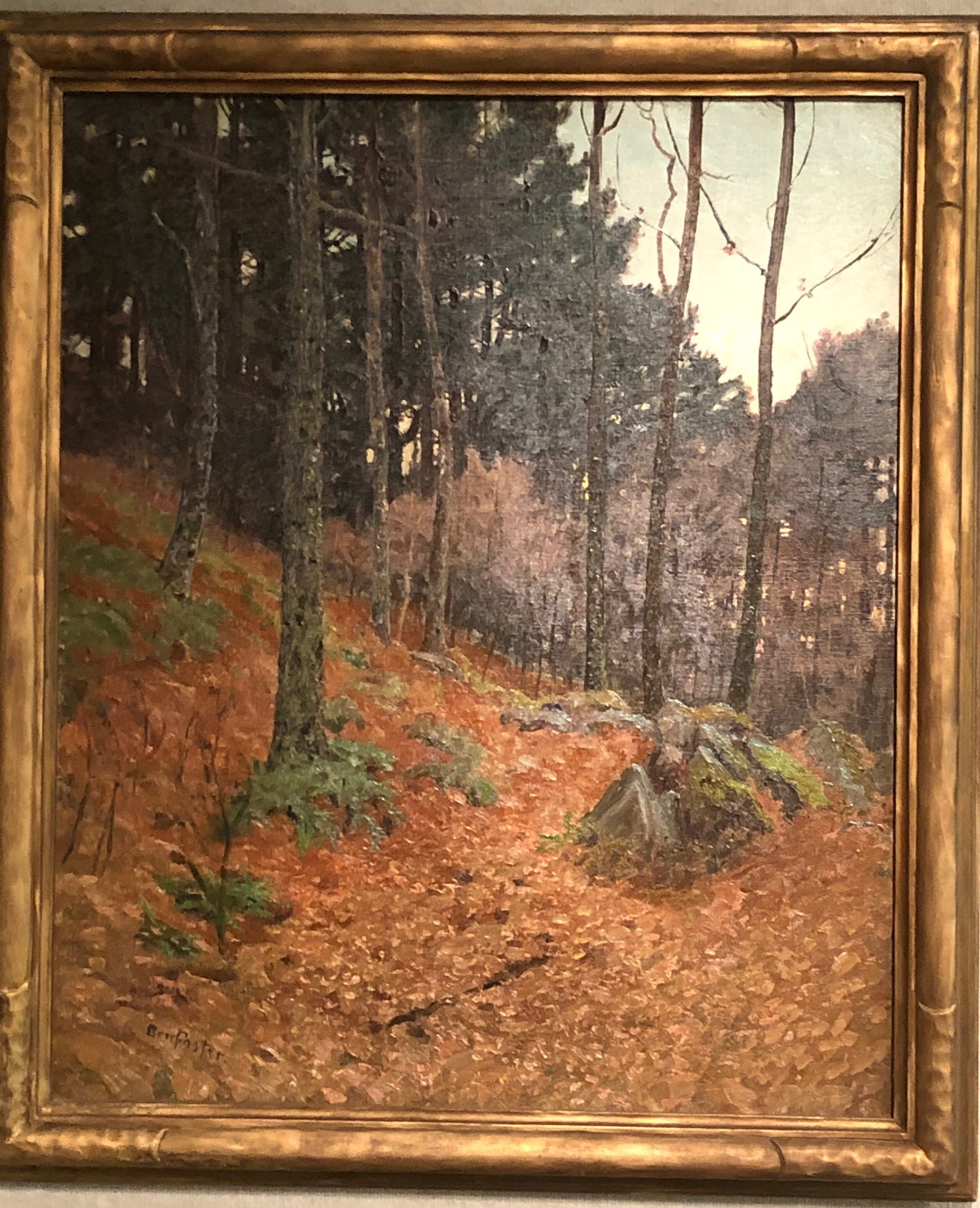 Pines and Rocks by Ben Foster Art Gallery