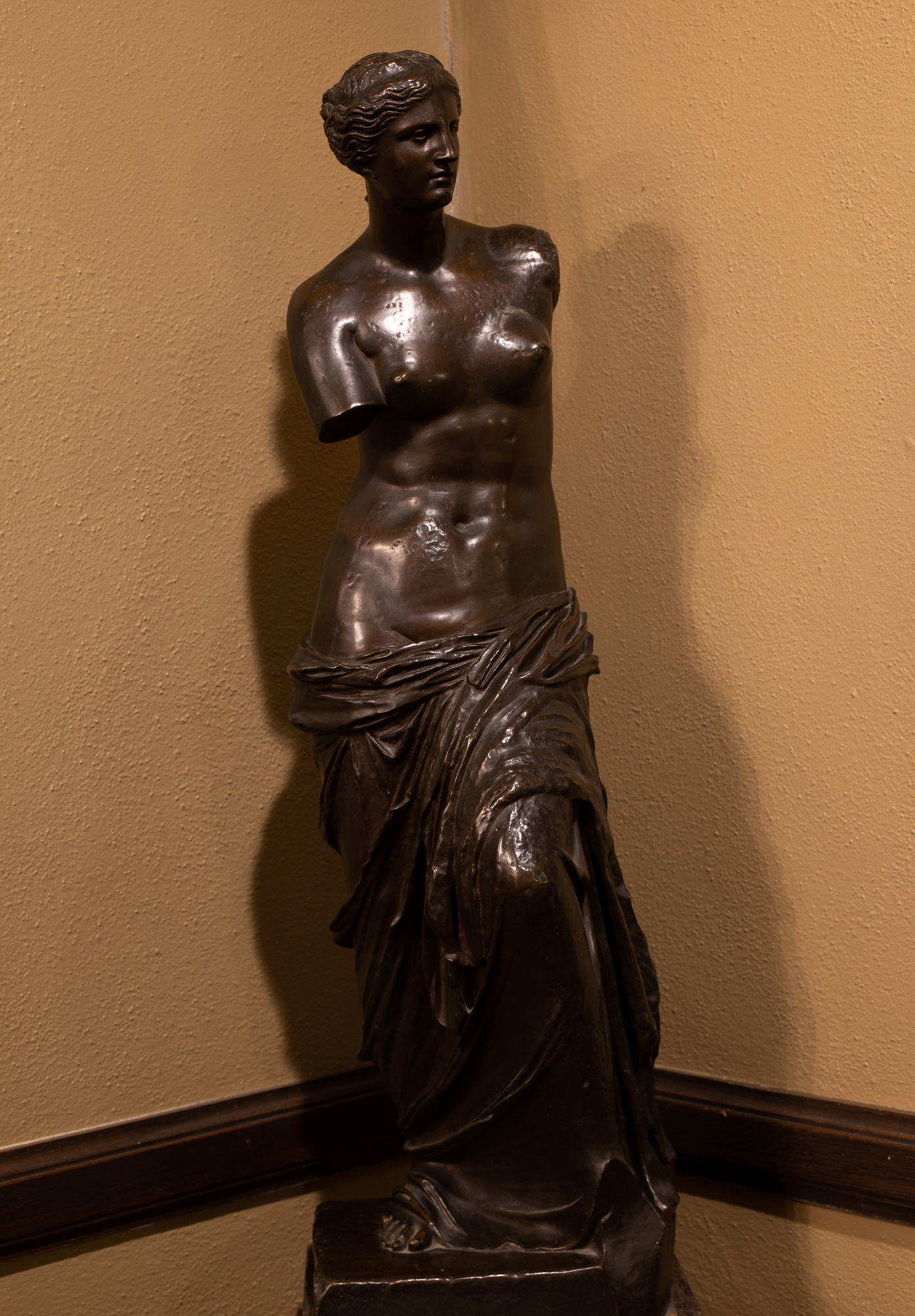 Venus Bronze