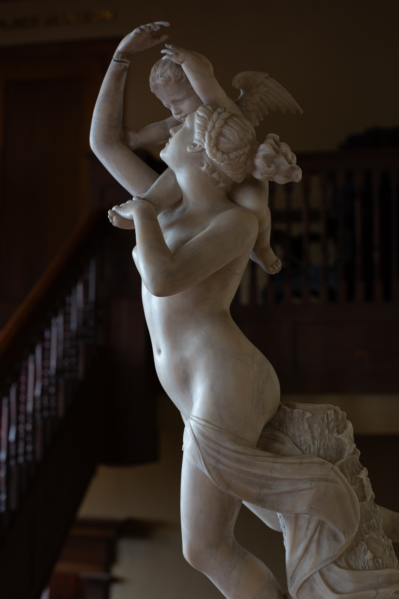 Venus Mezzanine